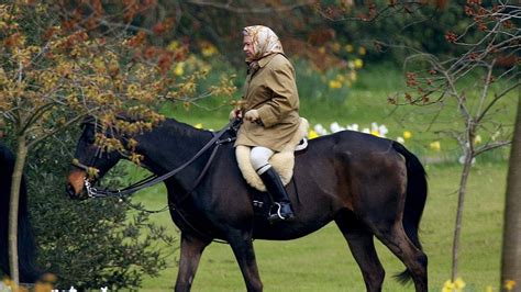 which queen made sexual relationship with horse to stay young